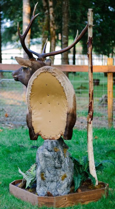 Big Game Mounts