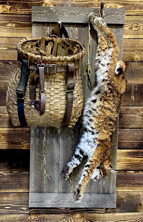 Rugs & Life-Size