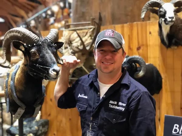 Joel Swecker in the Black River Taxidermy shop beside a finished ram mount